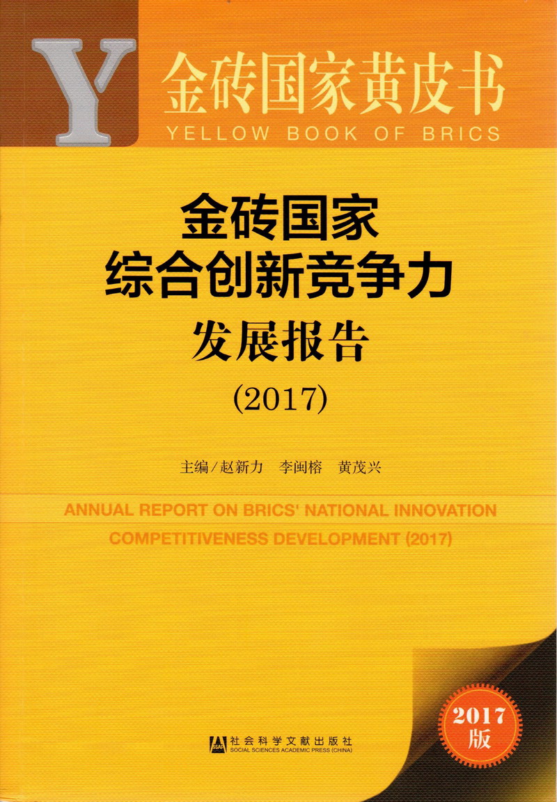 逼逼逼网金砖国家综合创新竞争力发展报告（2017）